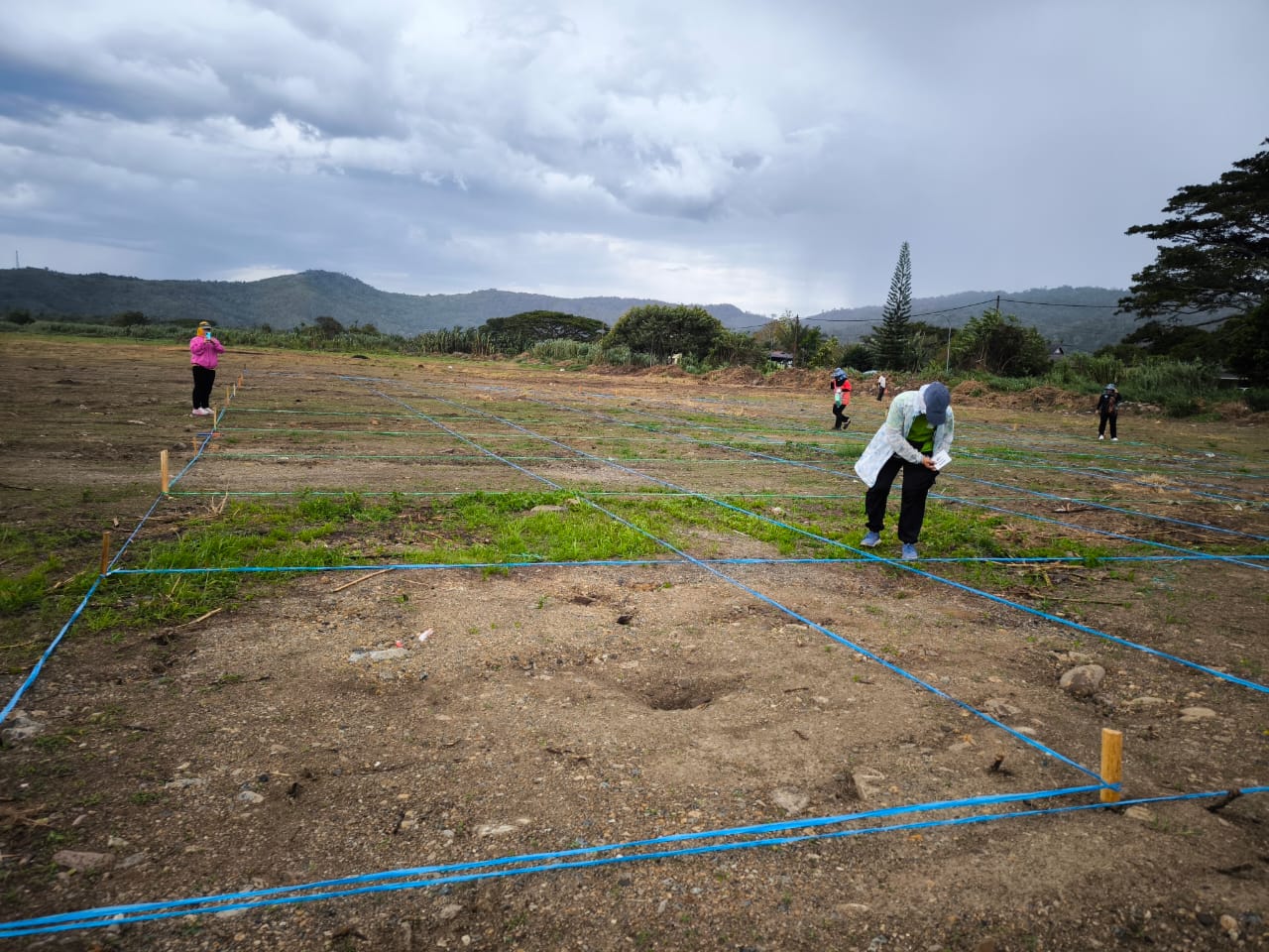 May be an image of 4 people and grass