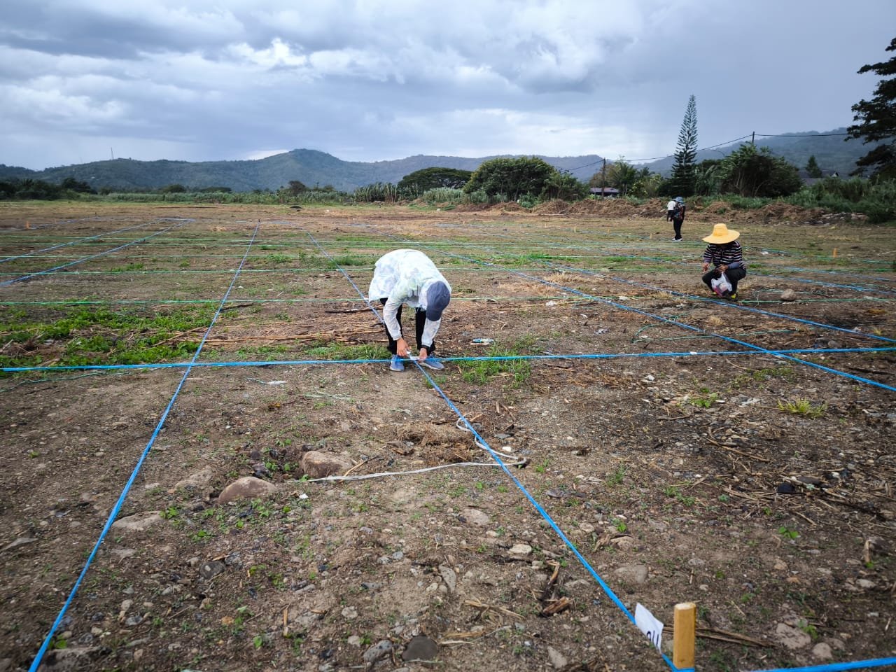 May be an image of 2 people