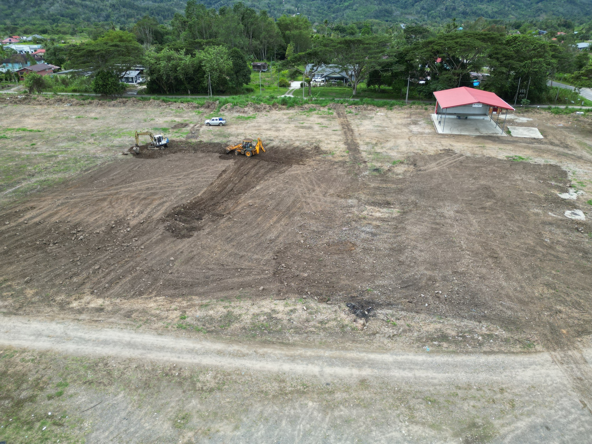 May be an image of grass