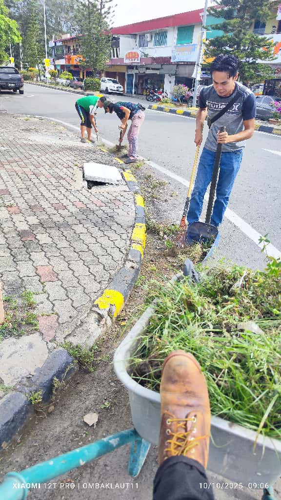 May be an image of grass