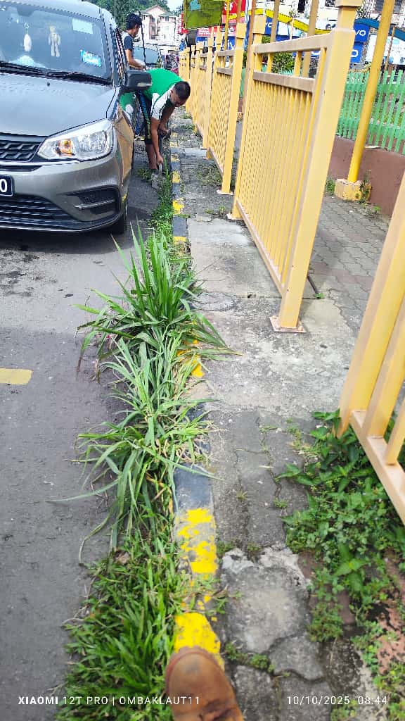 May be an image of grass