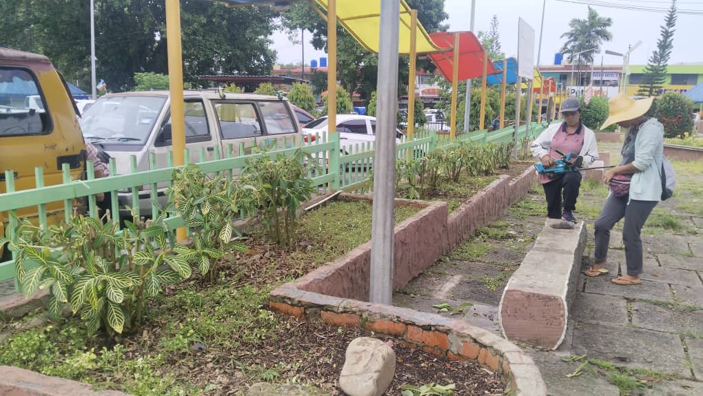 May be an image of grass